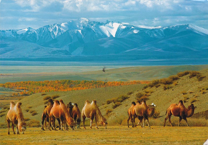 Діни-экологиялық парасаттылық